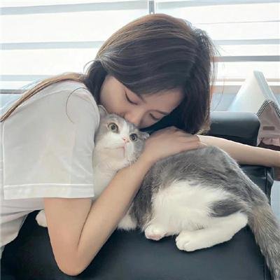 龙月